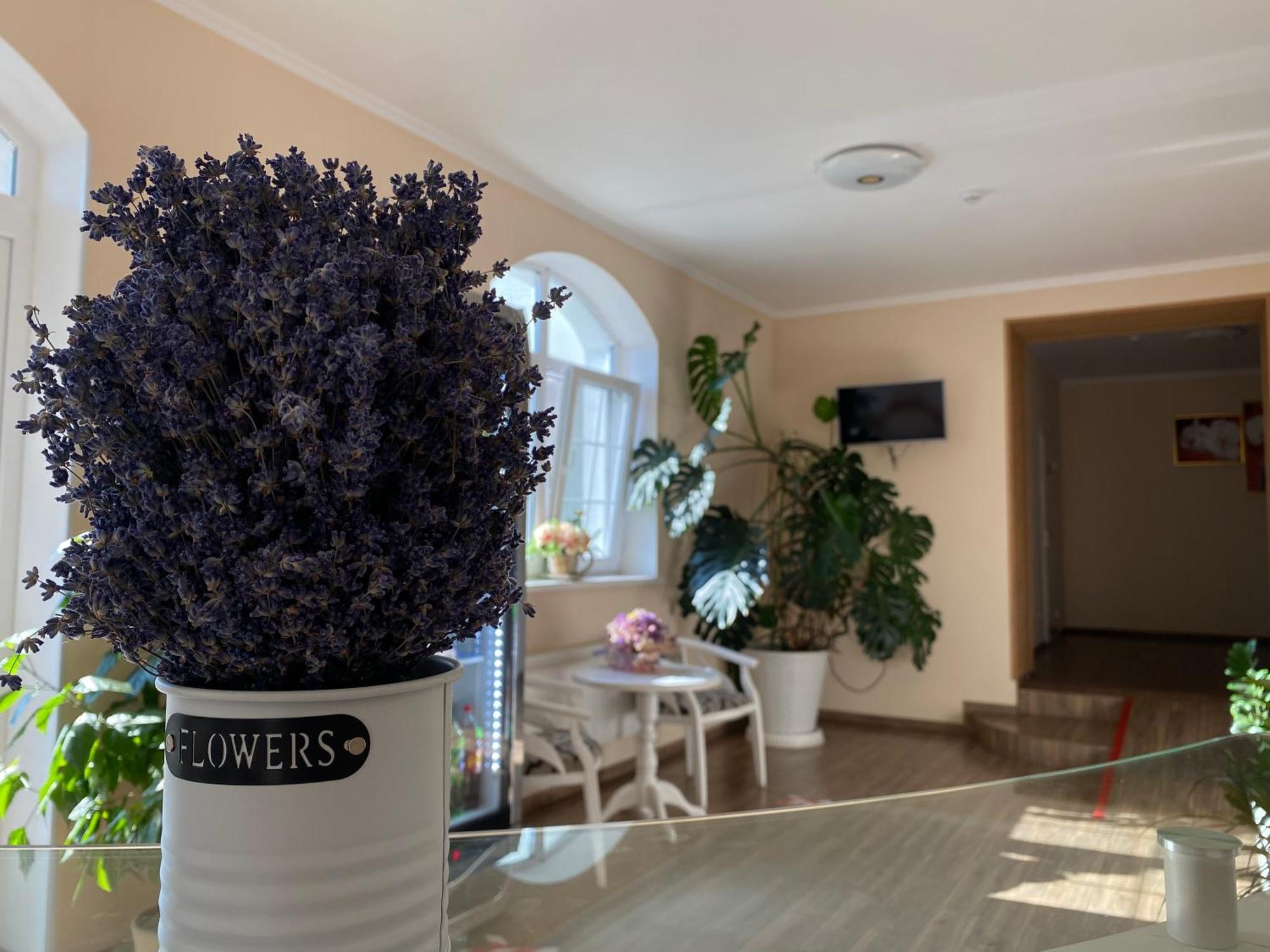 Орхідея Hotel Romny Eksteriør billede