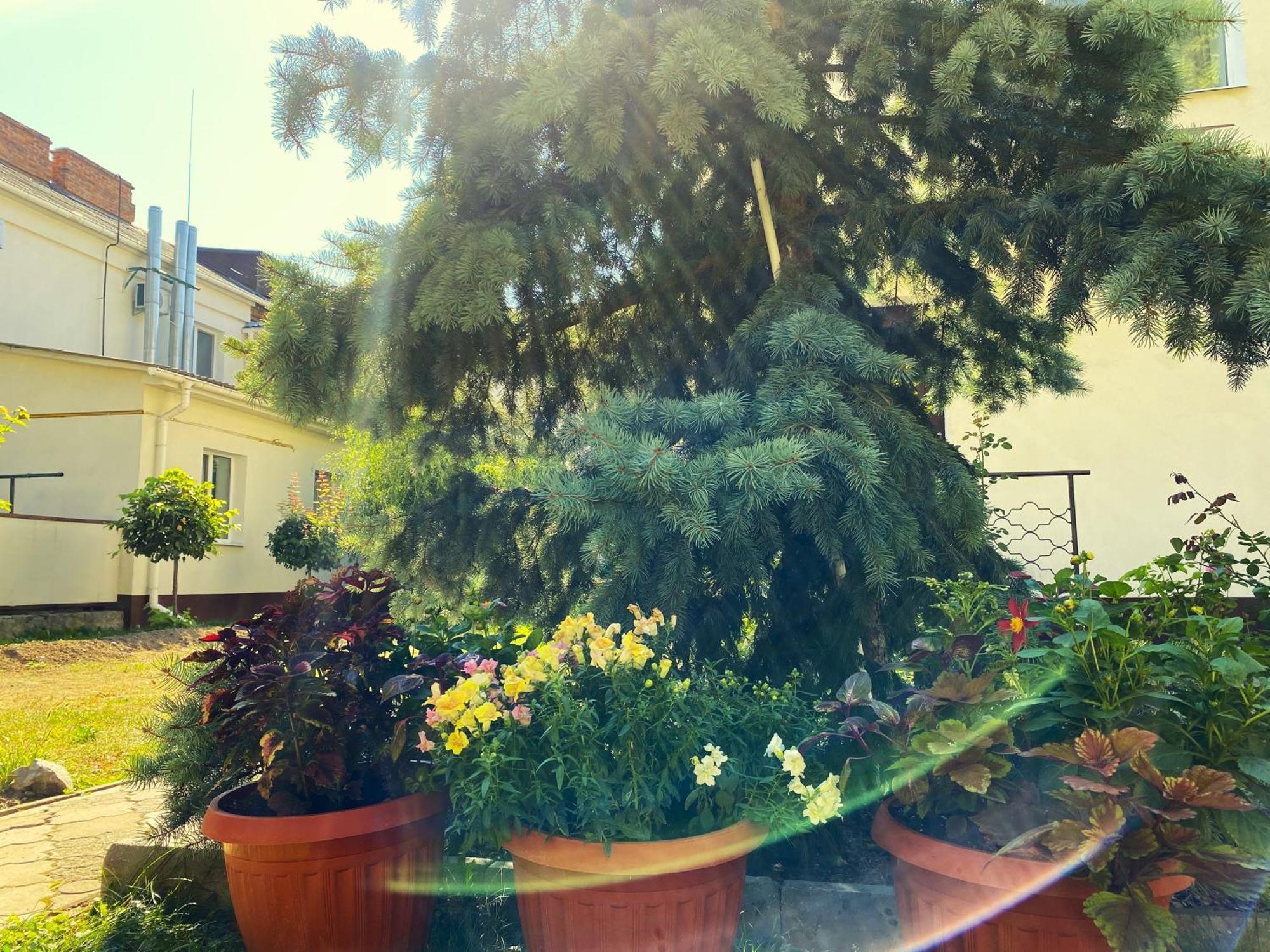 Орхідея Hotel Romny Eksteriør billede